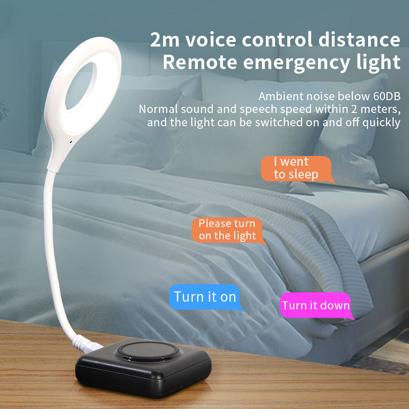 Smart Voice Control USB Light | control everything from you voice ASMART